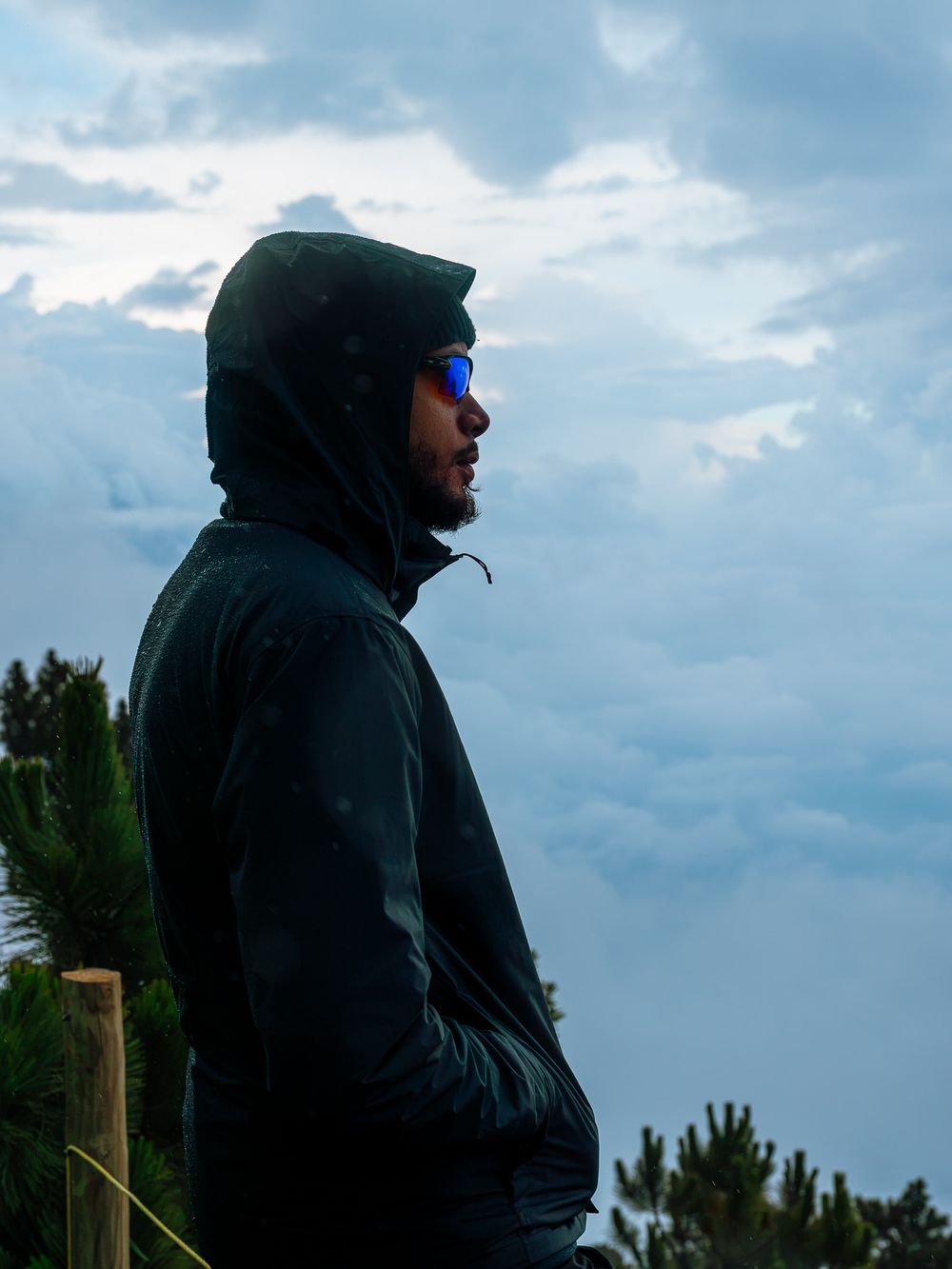 A man in a dark hooded jacket and sunglasses looks out over the clouds, with pine trees behind him.
